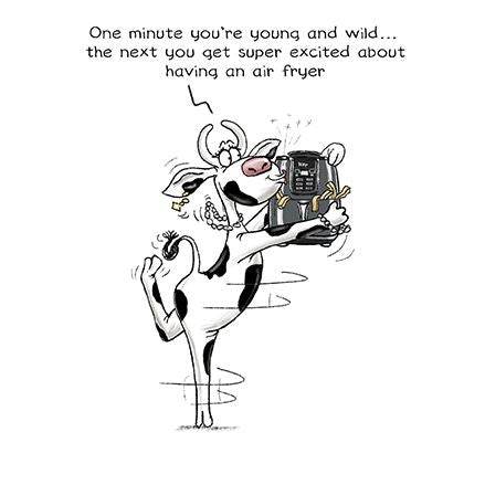 Air Fryer Birthday Card - House of Cards