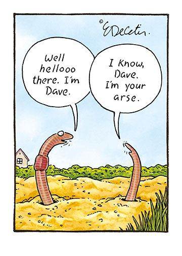 Worms Birthday Card - House of Cards