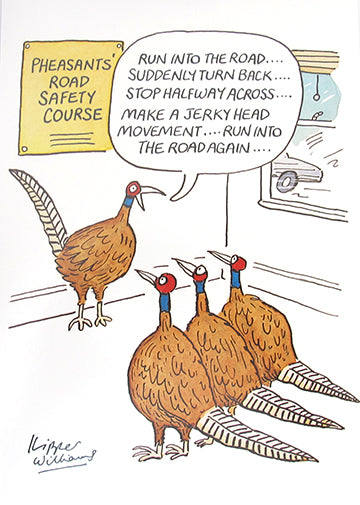 Pheasants Road Safety Birthday Card
