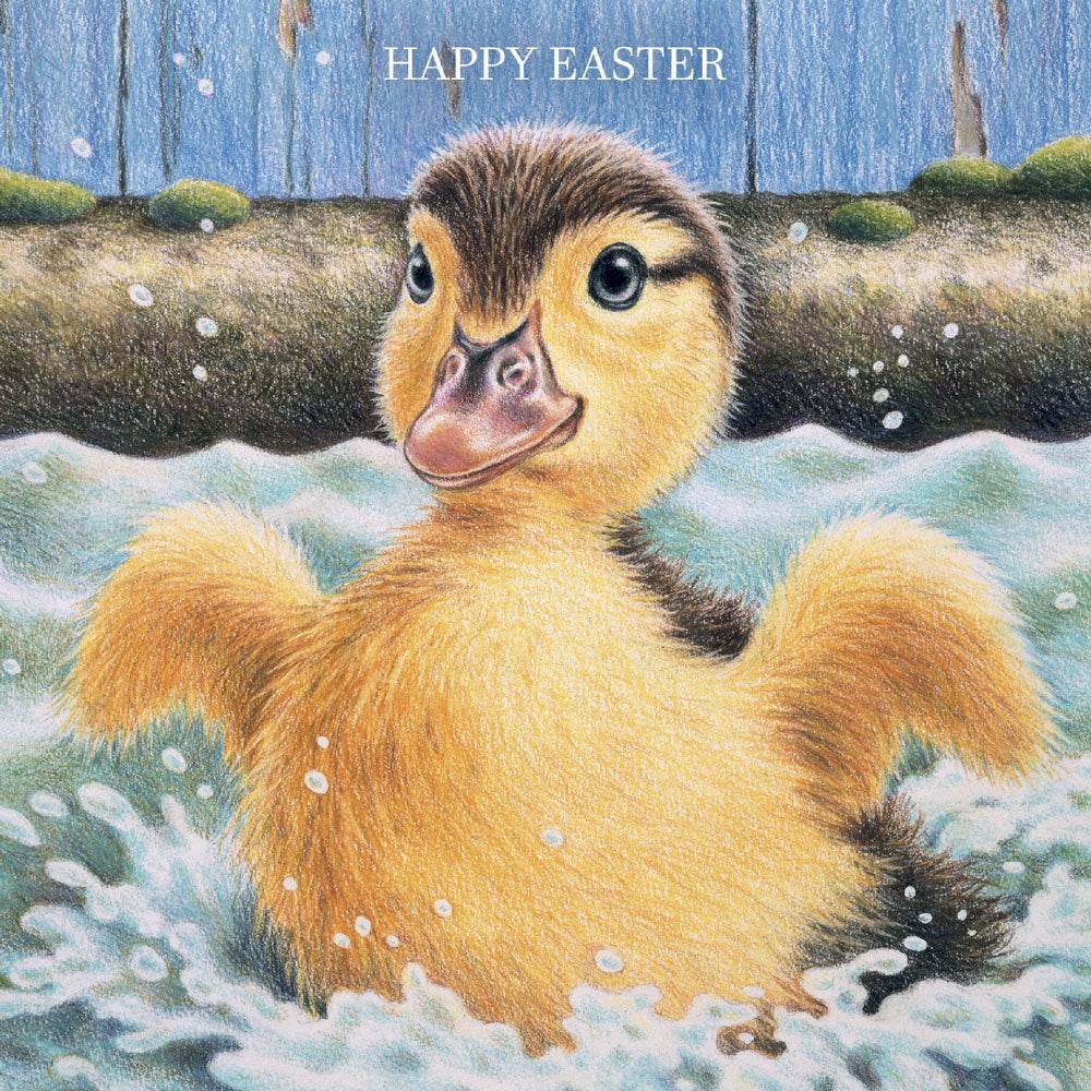 DuckEaster Cards - House of Cards