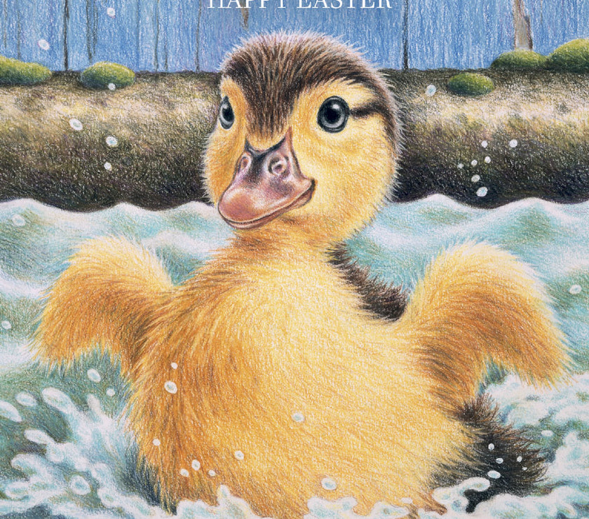 DuckEaster Cards
