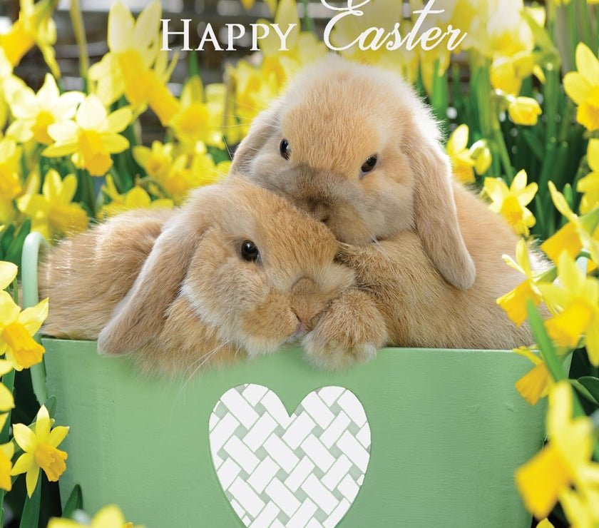 Daffodils and Bunnies Easter Cards