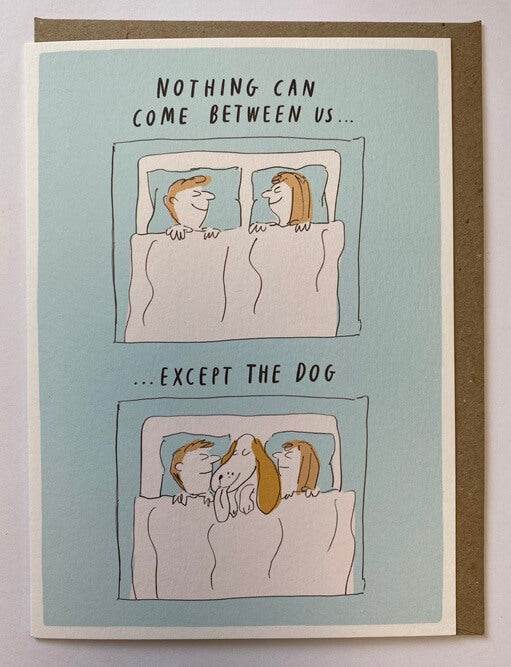 Picture Pawfect Dog Bed Birthday Card - House of Cards