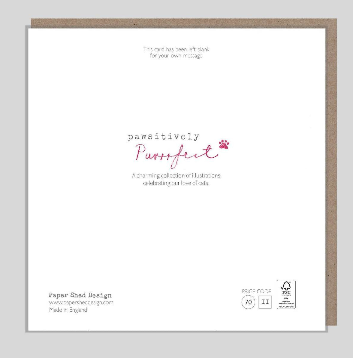 Grey Cat and Pink Flower Birthday Card - House of Cards