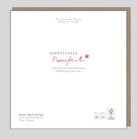 Grey Cat and Pink Flower Birthday Card