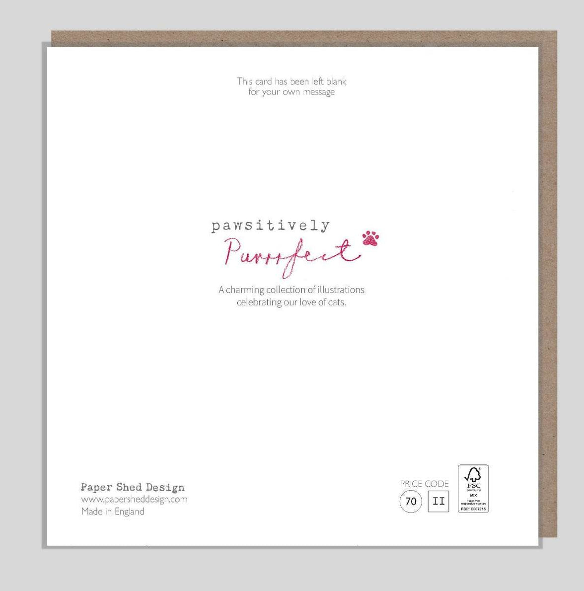 Cat with Blossom Birthday Wishes Card - House of Cards