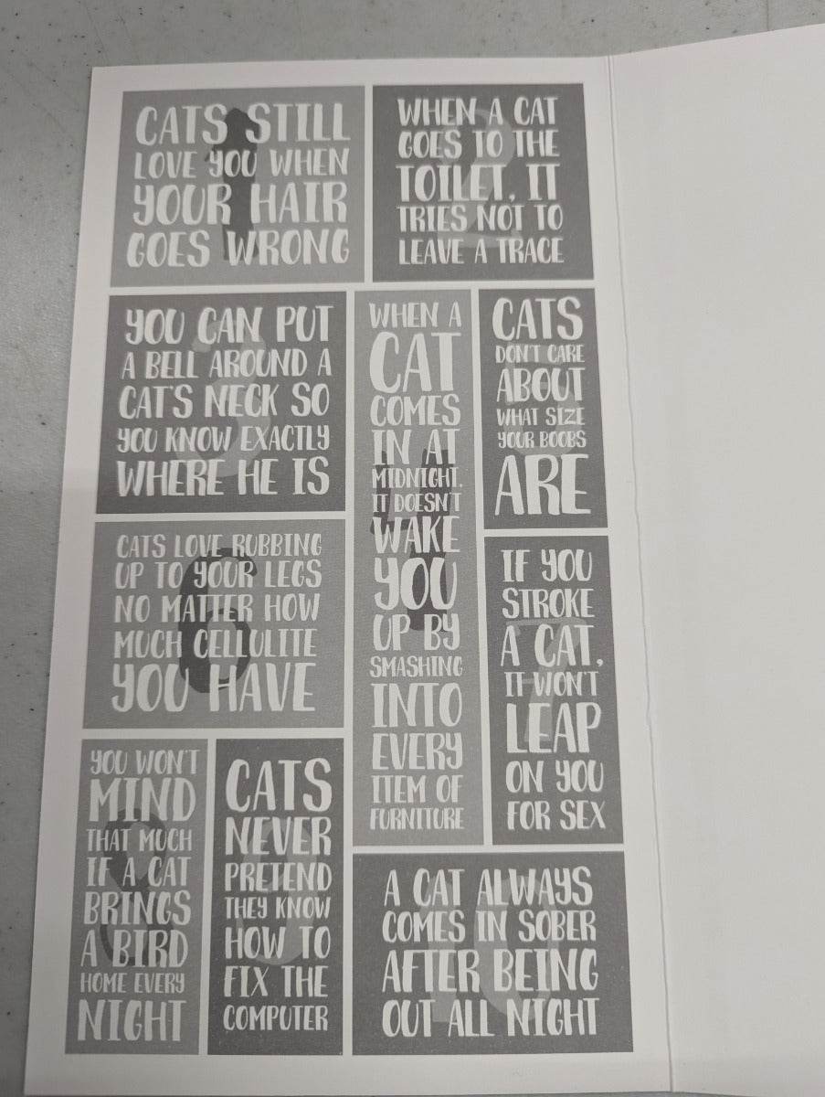 Cats Birthday Card - House of Cards