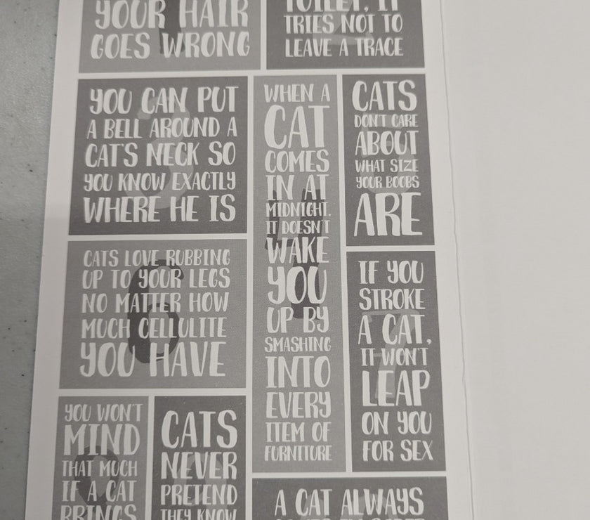 Cats Birthday Card