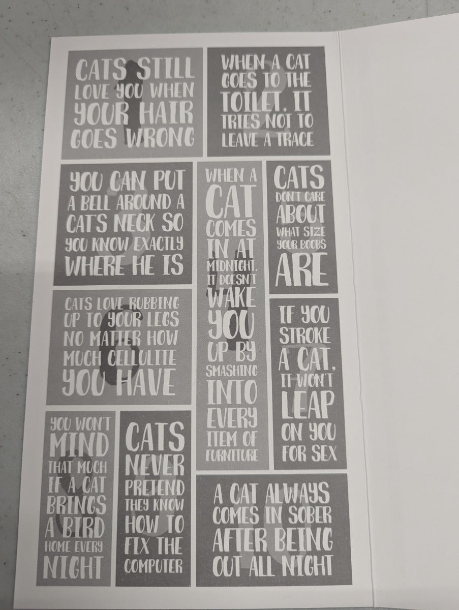 Cats Birthday Card