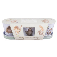 Herb Pots and Tray