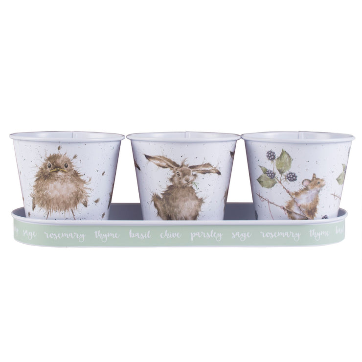 Herb Pots and Tray