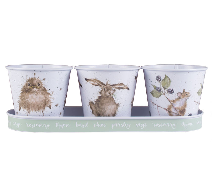 Herb Pots and Tray