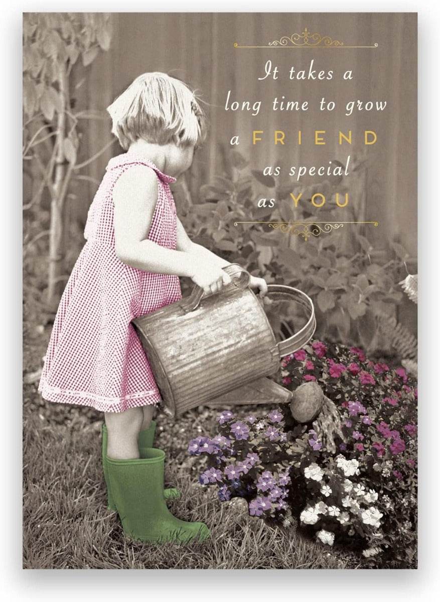 Grow A Friend Birthday Card - House of Cards