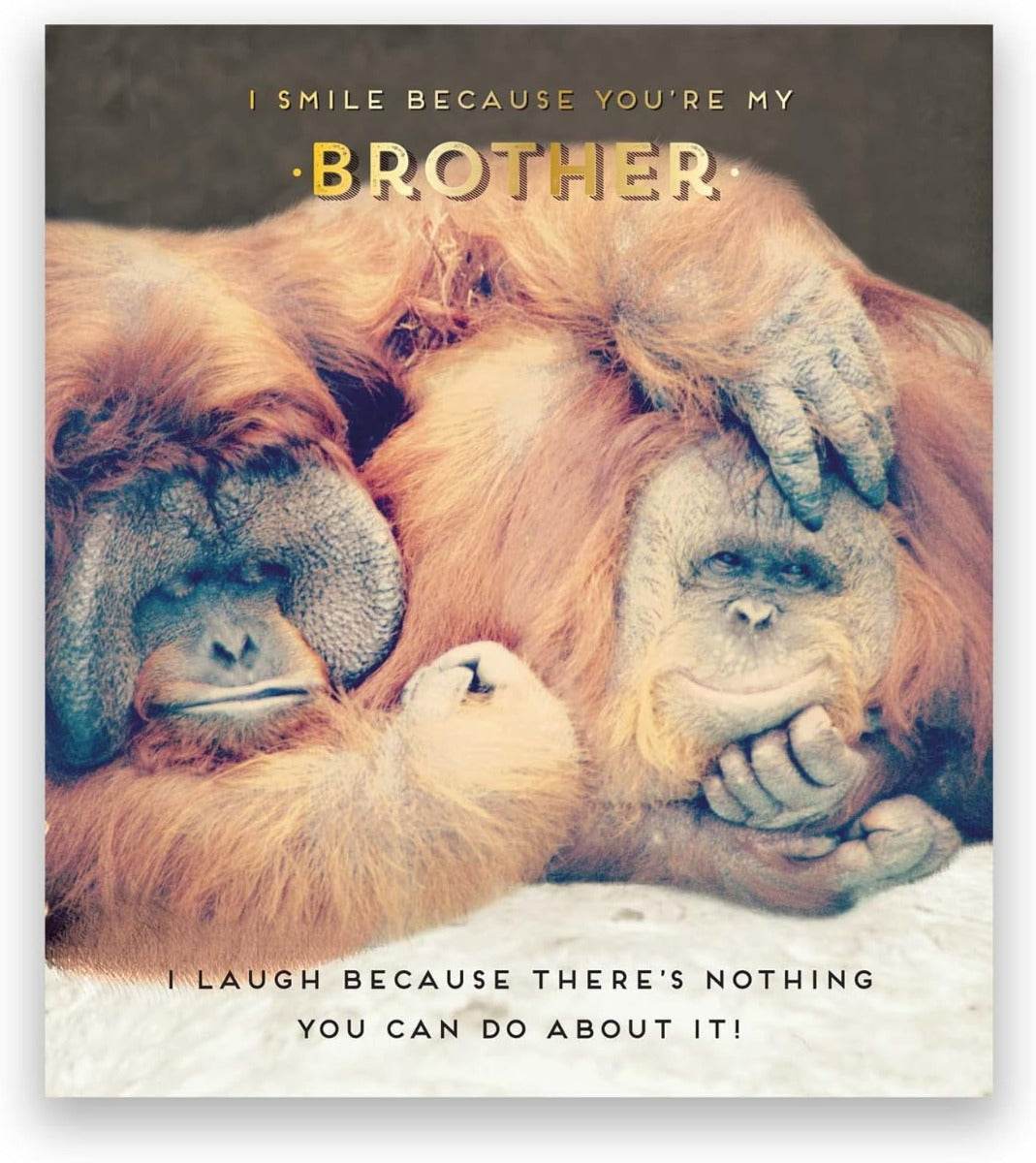 Brother Smile Birthday Card - House of Cards