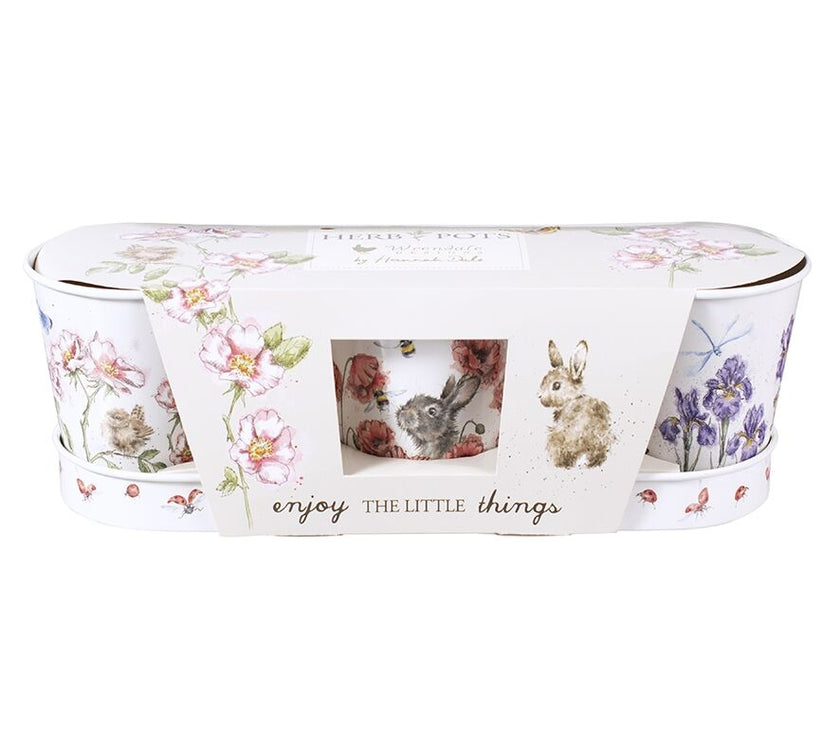 Herb Pots and Tray - Bees Butterflies and Dragonflies