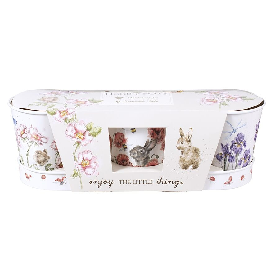 Herb Pots and Tray - Bees Butterflies and Dragonflies