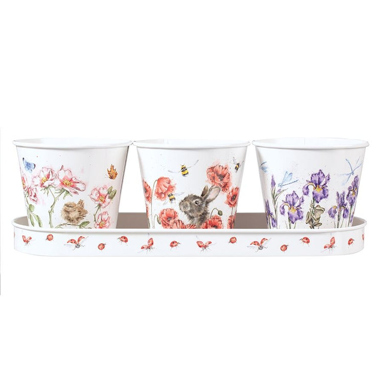 Herb Pots and Tray - Bees Butterflies and Dragonflies