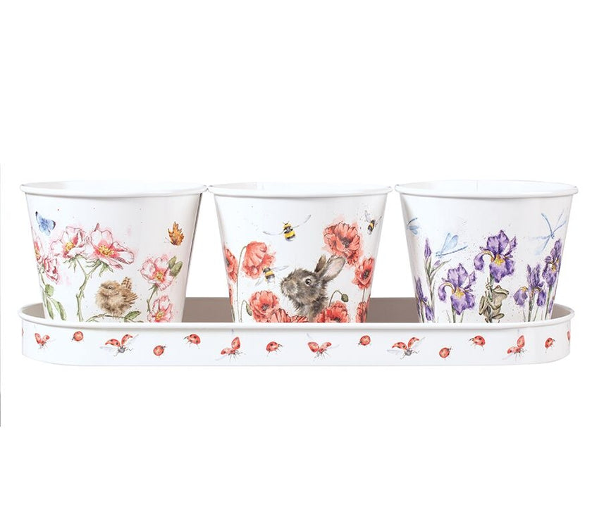 Herb Pots and Tray - Bees Butterflies and Dragonflies