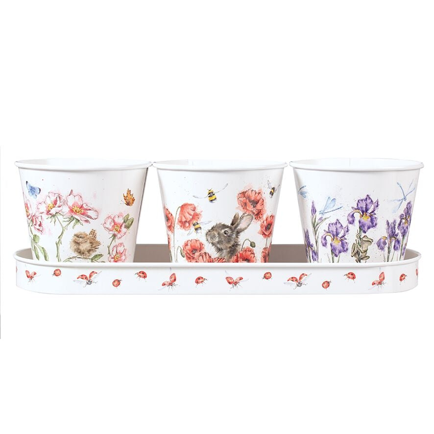 Herb Pots and Tray - Bees Butterflies and Dragonflies