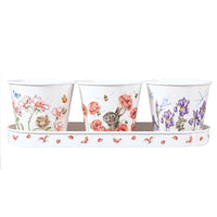 Herb Pots and Tray - Bees Butterflies and Dragonflies