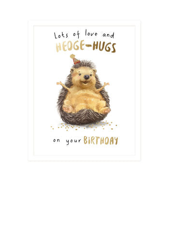 Hedgehog Birthday Card