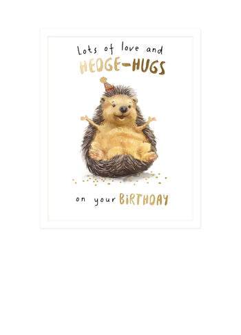 Hedgehog Birthday Card - House of Cards