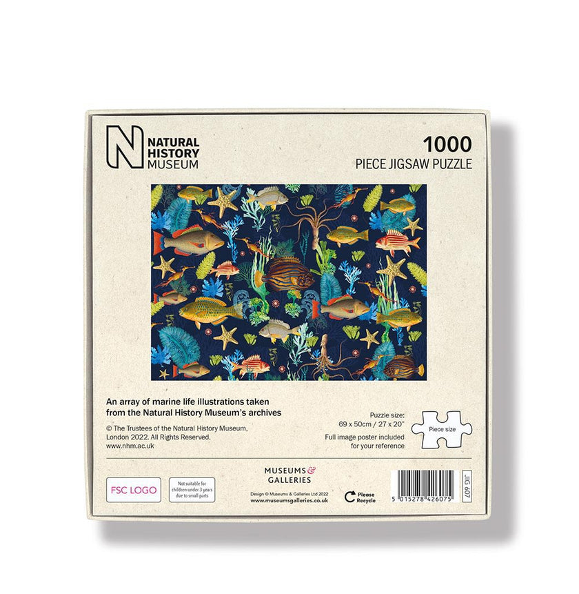 Marine Life Jigsaw Puzzle