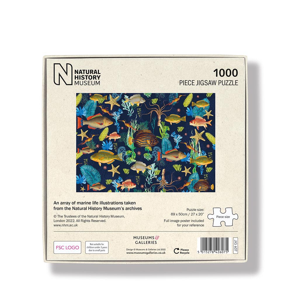 Marine Life Jigsaw Puzzle