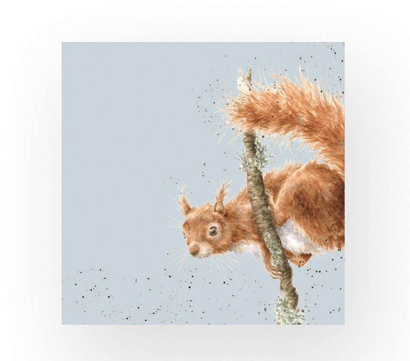 Acrobat Squirrel Napkins - House of Cards