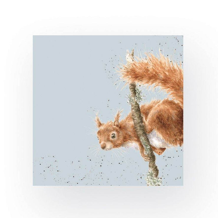Acrobat Squirrel Cocktail Napkins - House of Cards