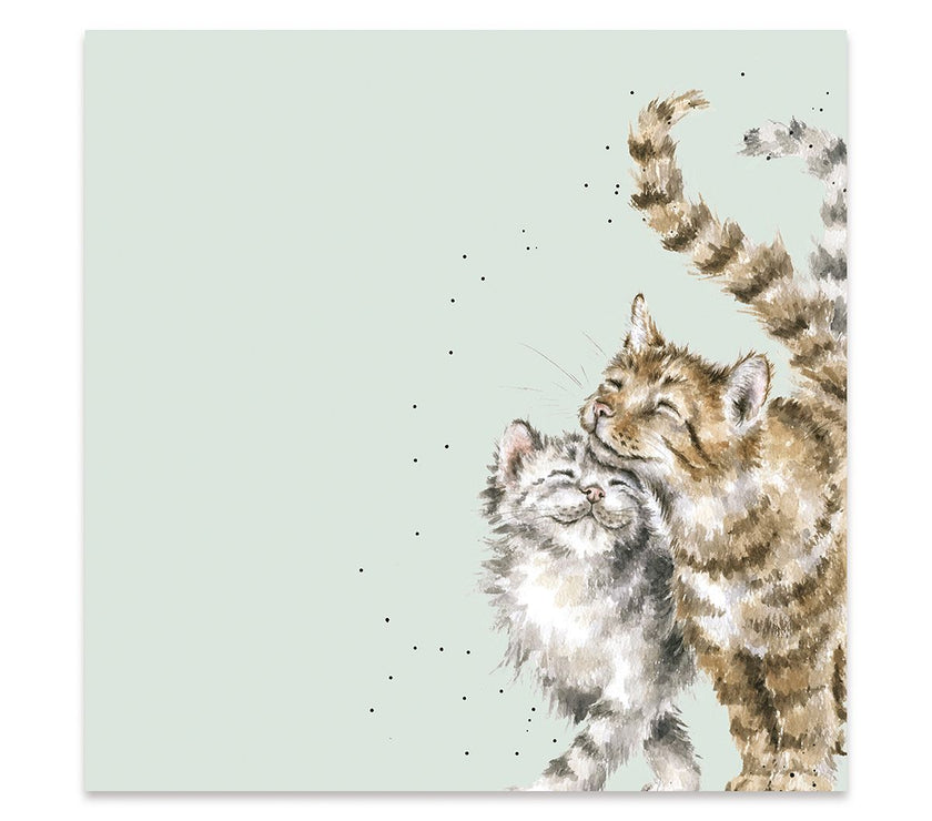 Feline Good Lunch Napkins