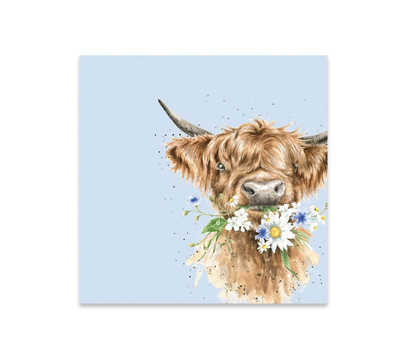 Daisy Cow Cocktail Napkins