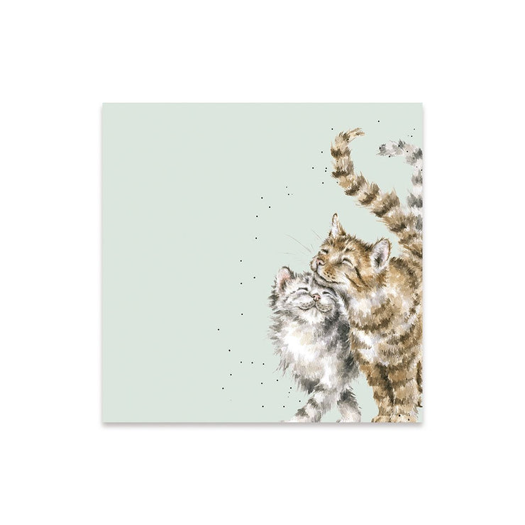 Feline Good Cocktail Napkins