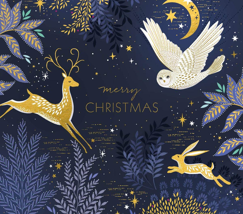 8 Luxury Sara Miller Wildlife Boxed Christmas Cards - House of Cards