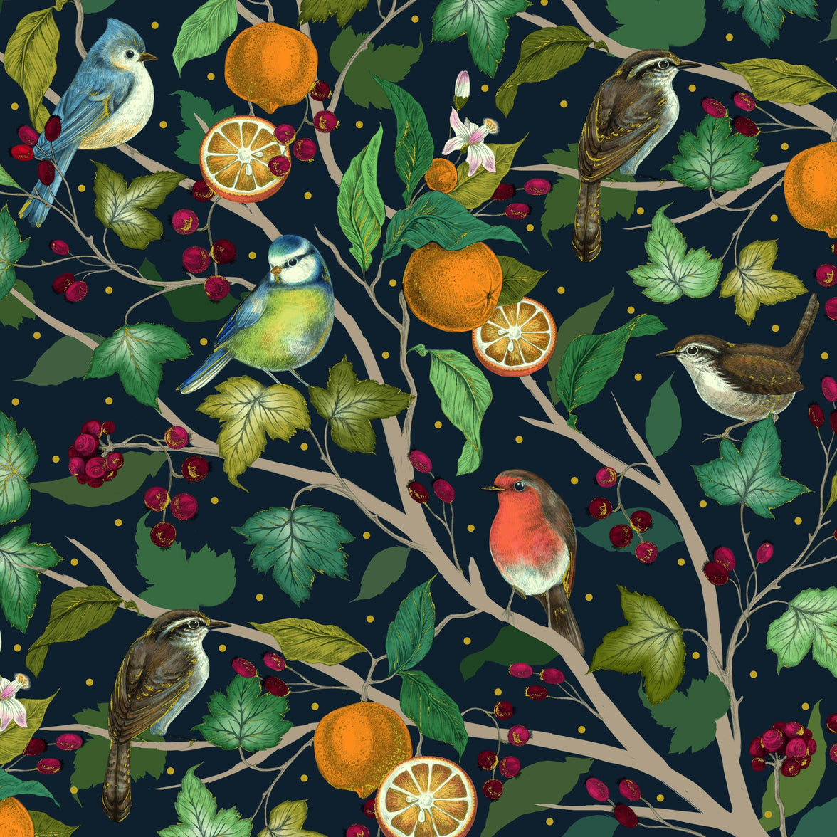 Birds in Fruit Tree Luxury Boxed Christmas Cards - House of Cards