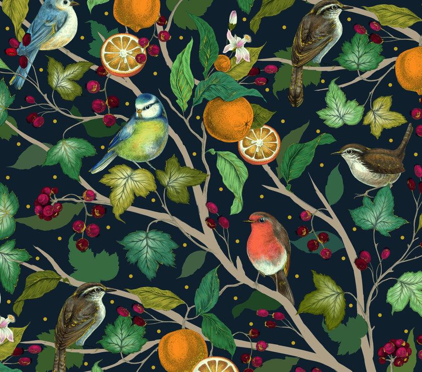 Birds in Fruit Tree Luxury Boxed Christmas Cards
