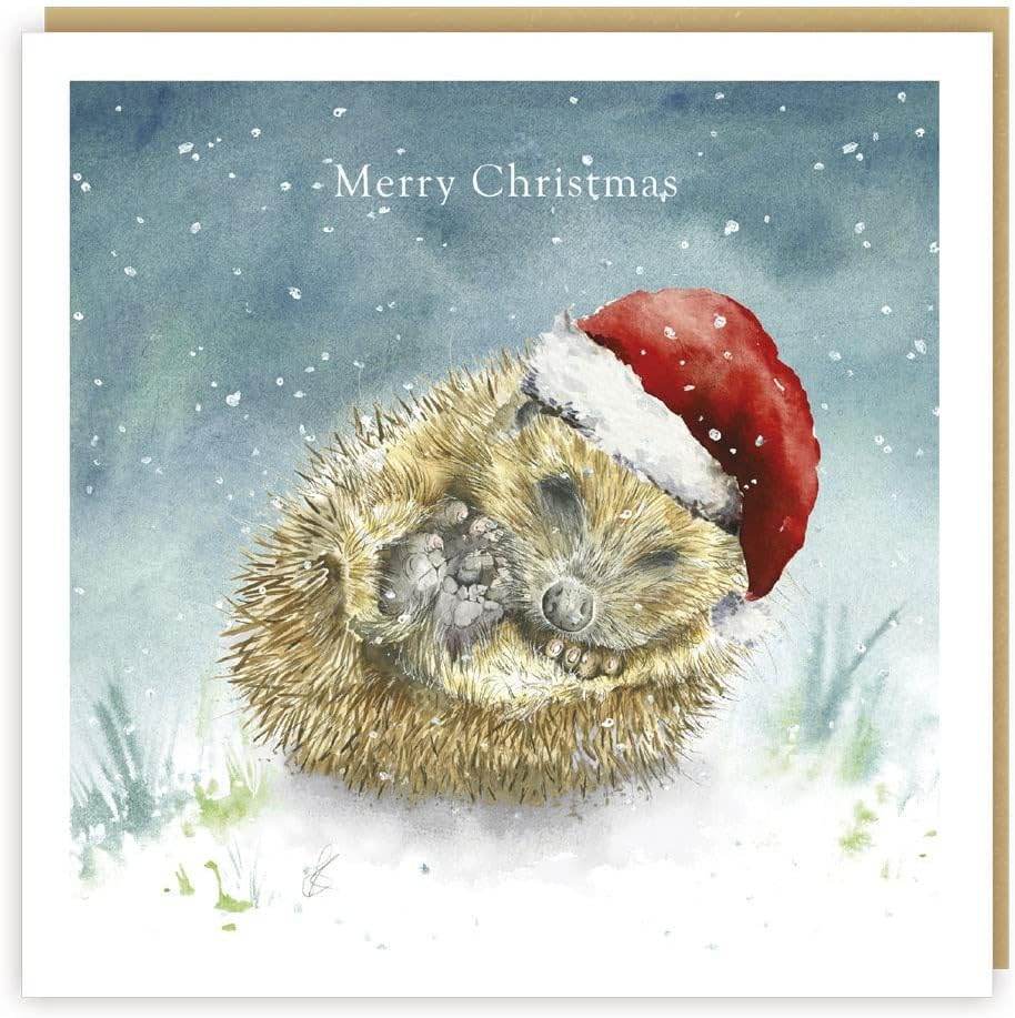 Hedgehog Christmas Card - House of Cards