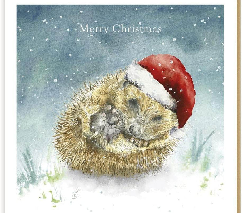 Hedgehog Christmas Card - House of Cards