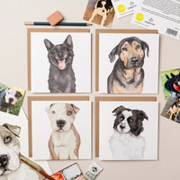 Bella Card