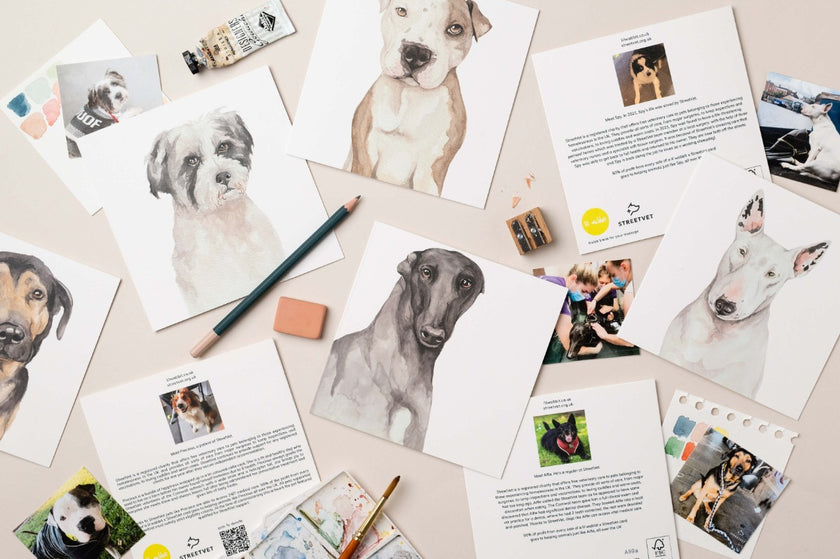 Bella Card