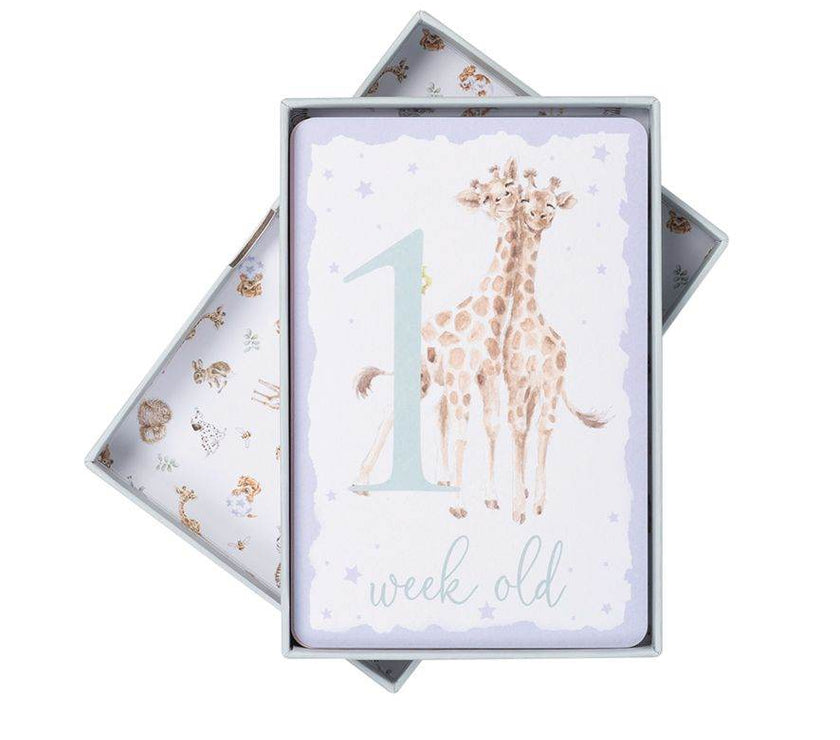 Baby Milestone Cards - House of Cards
