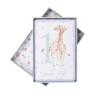 Baby Milestone Cards - House of Cards
