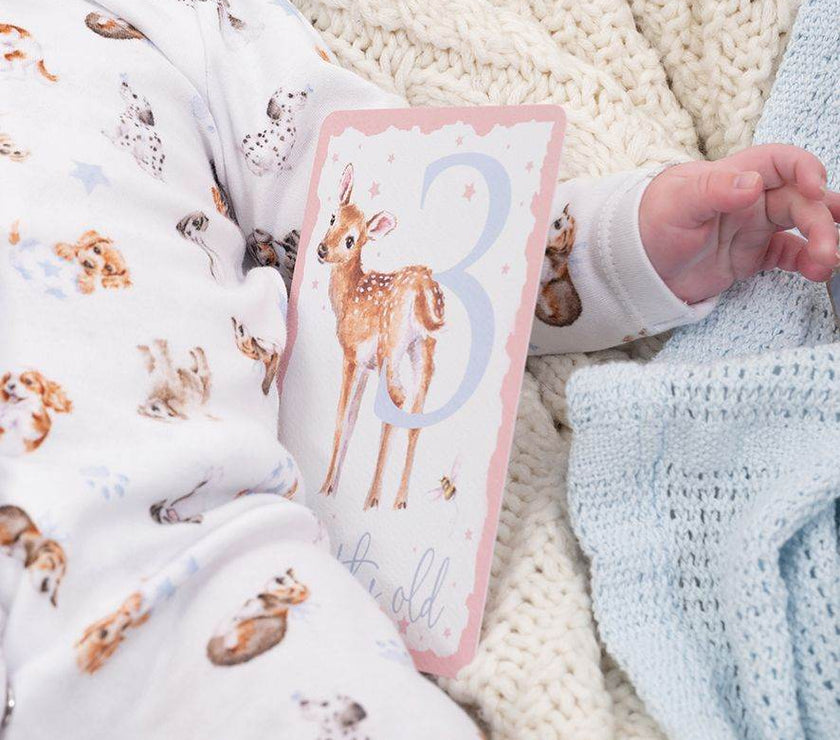 Baby Milestone Cards - House of Cards