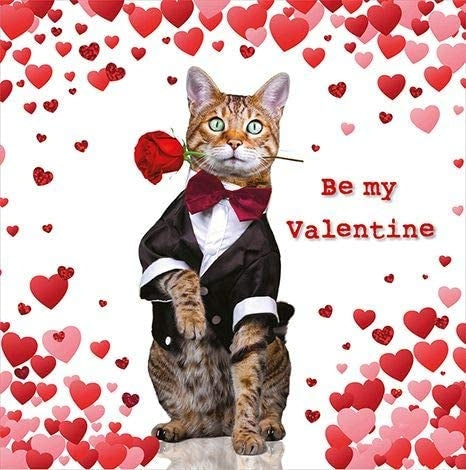 Cat in a Suit Valentine Card