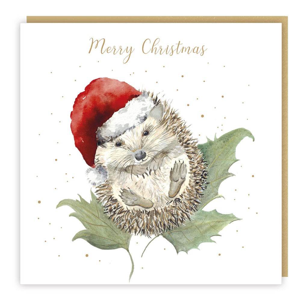5 Love Country Hedgehog Christmas Cards - House of Cards