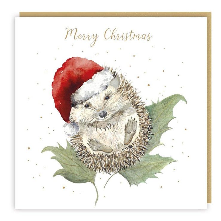 5 Love Country Hedgehog Christmas Cards - House of Cards