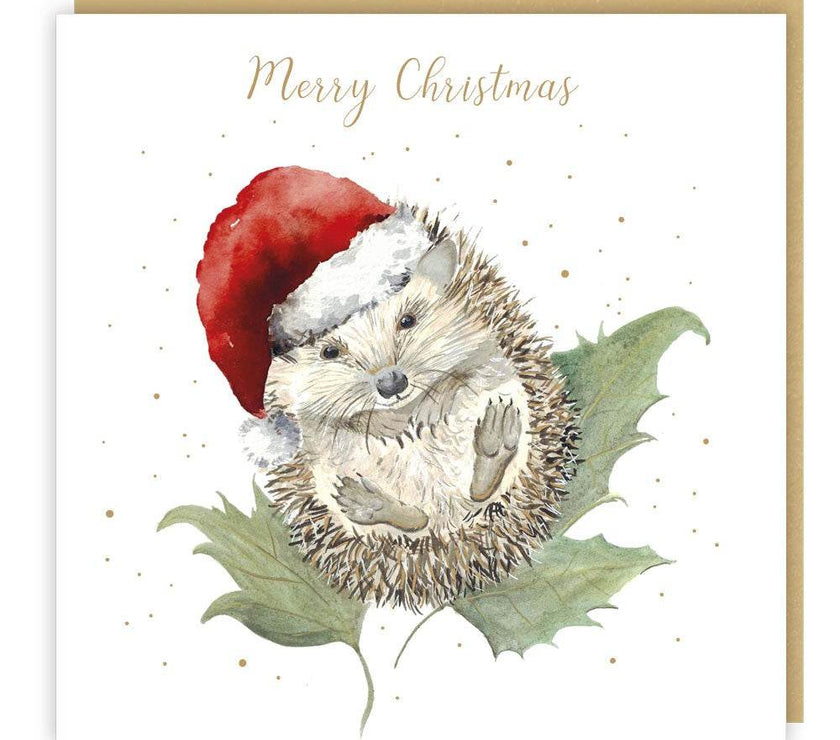 5 Love Country Hedgehog Christmas Cards - House of Cards
