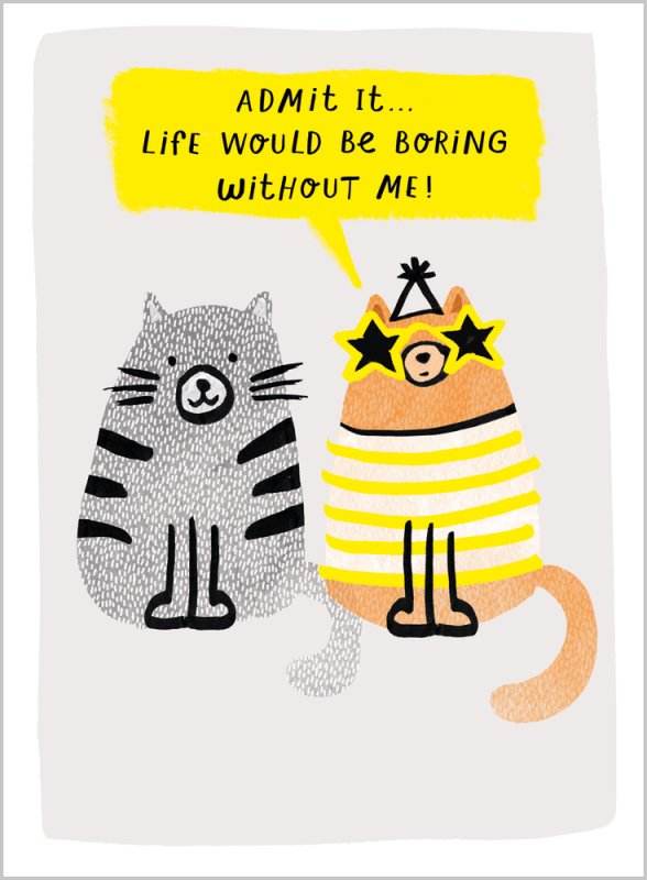 Cats Birthday Card - House of Cards