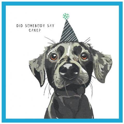Cake Black Dog Birthday Card - House of Cards
