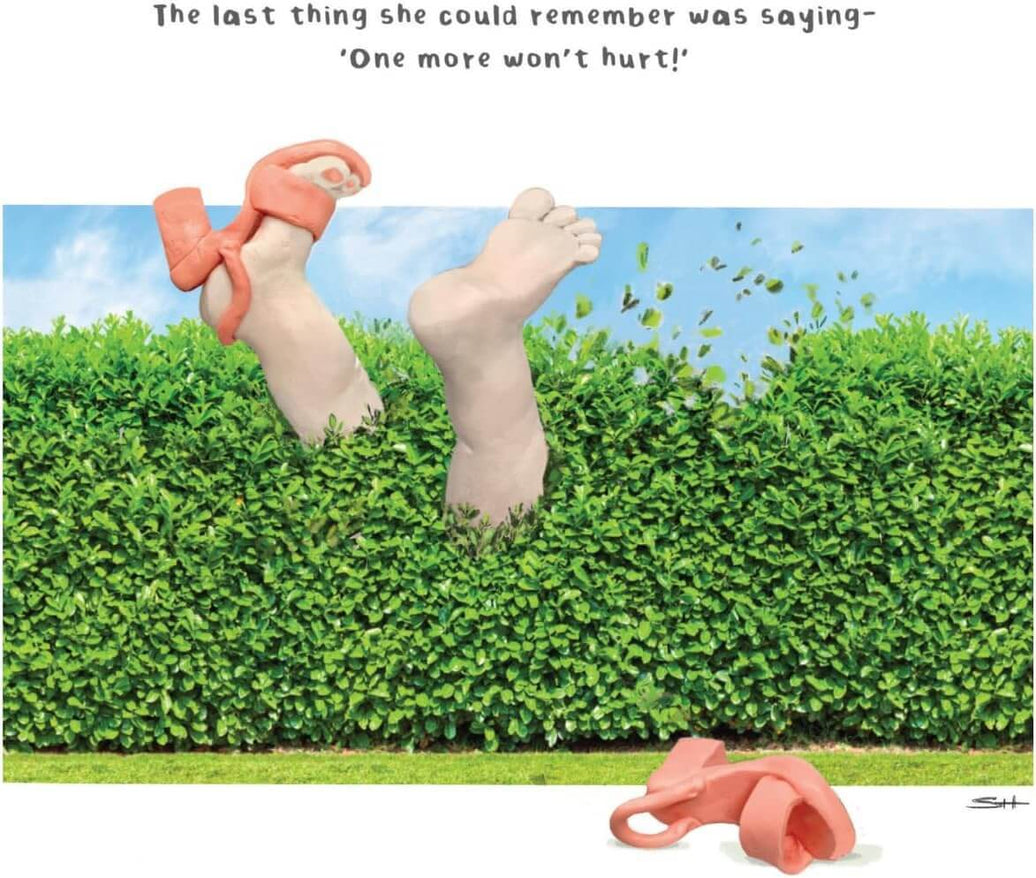 One More Birthday Card - House of Cards